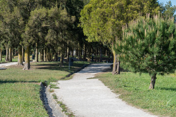 Scenic view of a path passing through a dense forest in Santa Iria d'Azoia Urban Park in Loures