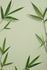 Natural beauty product concept over a light background decorated with bamboo leaves around....