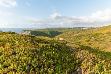 Fototapeta na wymiar Scenic landscape of a field next to the Ursa beach in Sintra, Portugal