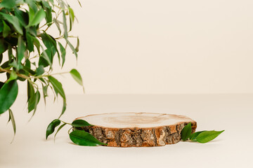 Empty wooden product podium with green plant leaves on beige background. Background for natural eco...