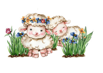 White fluffy sheep sitting in the grass with flowers and butterflies next to wooden fence. Watercolor hand drawn illustration of farm baby animal . Perfect for greetings card, poster, fabric pattern.