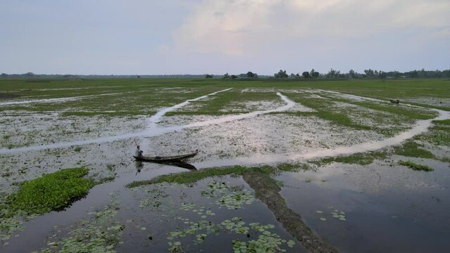 Boat on te bil water, noruil bil, bogura, bangladesh