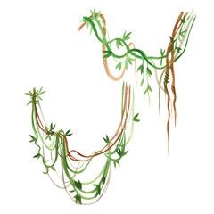 Jungle creepers hand drawn in green and brown watercolor on a transparent background. Suitable for printing on fabric and paper, for the design of book and the interior of a children's room.