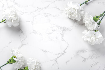 White carnation flower on marble background, top view