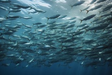 School of sardines swimming from left to right - obrazy, fototapety, plakaty