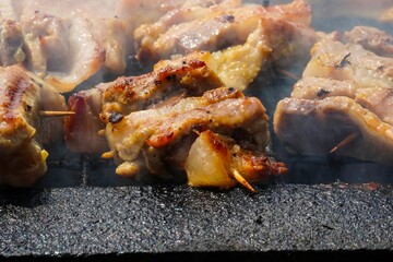 Tasty barbecue meat in closeup