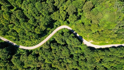 Aerial top view of a road surrounded by evergreen trees on a sunny day