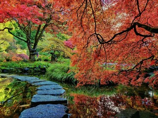 Pond with stone steps in a colorful autumn park