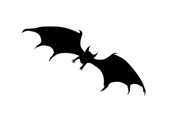 The bat is flying. Vector drawing