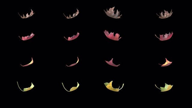 NATURE ELEMENT Leaves ABCD withAlpha. Looping elements that can be isolated as sprites to use as textures with an alpha channel.