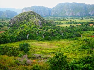 Fototapeta na wymiar Bird's eye view of an amazing tropical vegetation