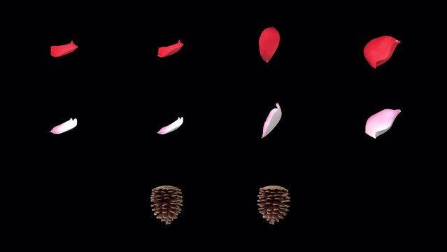 NATURE ELEMENT Petals Pinecone withAlpha. Looping elements that can be isolated as sprites to use as textures with an alpha channel.