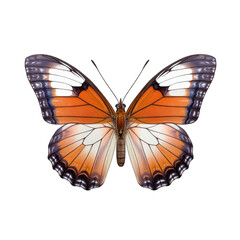 Viceroy butterfly -  Limenitis archippus. Transparent PNG. Generative AI