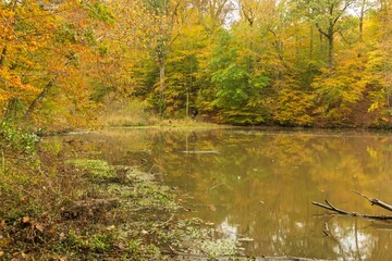 Beautiful Lake Roland Park in Baltimore, Maryland on a cold autumn day, the United States