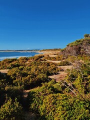 Vertical shot of a beautiful sea near Shelley Beach in Melbourne, Australia