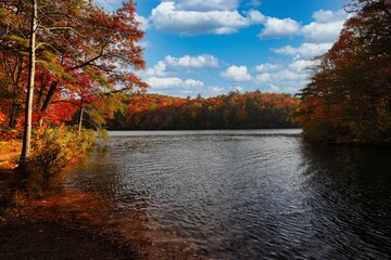 Scenic view of a tranquil lake surrounded by beautiful autumn trees against a blue sky