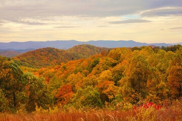 Scenic shot of Blue Ridge Mountains during autumn in USA