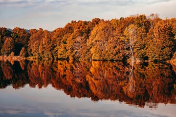 Scenic shot of autumn trees reflecting on the lake surface