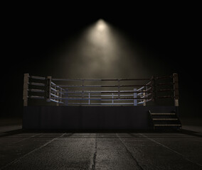 Modern Boxing Ring