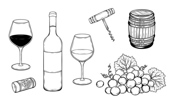 Set of wine bottle glasses barrel grapes cork wine opener hand drawn vector illustration