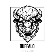 Obraz premium Buffalo vector sketch, bison illustration, black outline