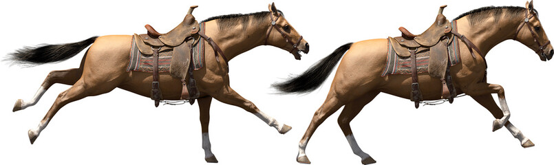 horse saddled running animal cutout © Mathias Weil