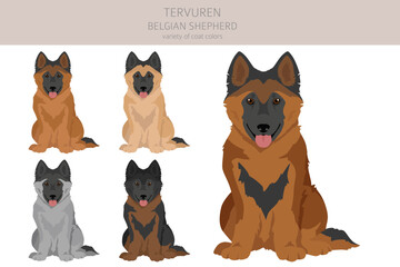 Belgian Tervuren puppy clipart. Different poses, coat colors set