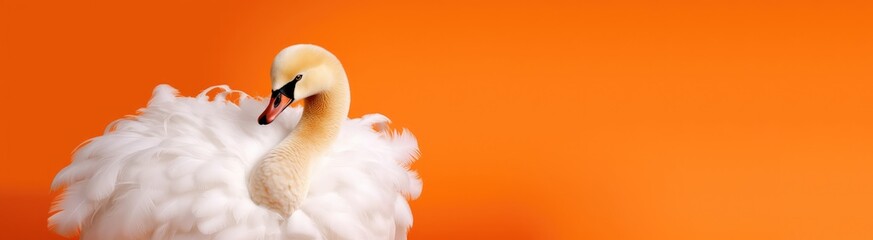 flamingo, swan , parrot bird with generative ai