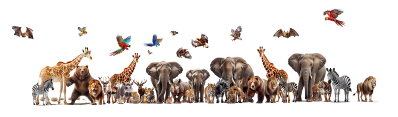 Tuinposter Many wild animals, elephants, zebras, giraffes, birds, tigers, lions, rhinos, tigers, leopards on a transparent background (PNG). Generative AI. © I LOVE PNG