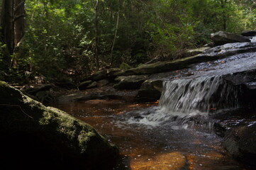 waterfall in the forest