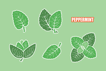 Peppermint Green Leaves Stickers. Fresh Mint Leaf Sticky Label Set. Medicinal Plants and Spicy Herbs icons. Vector illustration.