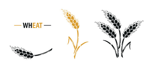 Grain Spikes icons Vector Set. Ears of Wheat, Barley or Rye, Great for Bread Packaging, Beer labels etc.