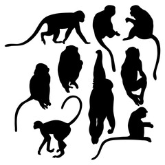 Collection silhouettes monkey. Vector illustration. Isolated primates on white background. © Ludmila