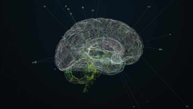 Brain Scanning Interface Animation. Medical HUD
