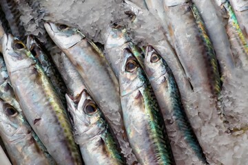Fresh fish on ice at market in Castellon, Spain. Mediterranean diet. 