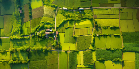 background of stacked images of green fields from a drone