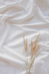 Spikelets of grass on a white satin fabric background.