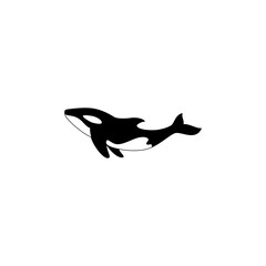 orca whale vector illustration for an icon,symbol or logo. whale template logo