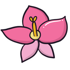 Bud pink gladiolus flower hand drawn floral illustration