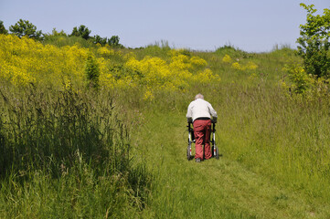 frau mit rollator unterwegs