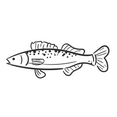 Fish Elements_Zander Fish