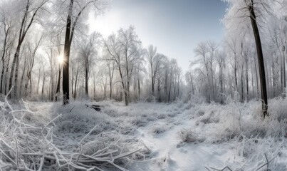 Obraz na płótnie Canvas trees in the fog HD 8K wallpaper Stock Photography Photo Image