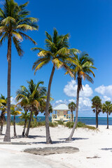 Plakat palm trees on the beach with lifeguard hut