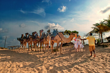 praia e camelos em genipabú