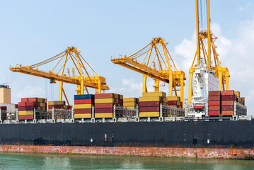 Large cargo container ship berthed at the container terminal under gantry cranes. 