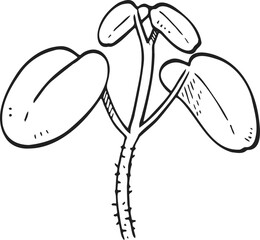 plant sprout drawing illustration.