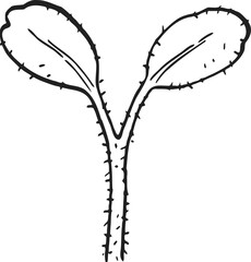 plant sprout drawing illustration.