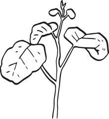 plant sprout drawing illustration.