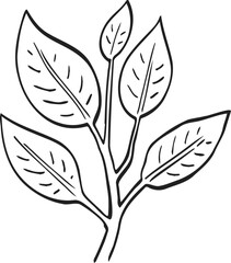 plant sprout drawing illustration.