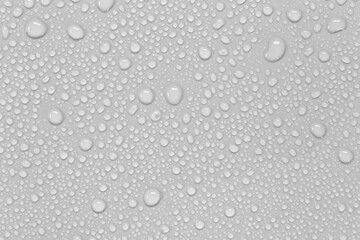 Water droplets on a gray background. - obrazy, fototapety, plakaty